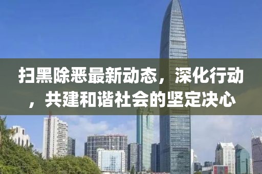 扫黑除恶最新动态，深化行动，共建和谐社会的坚定决心