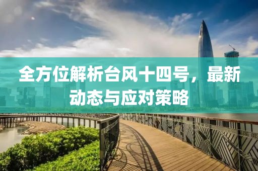 全方位解析台风十四号，最新动态与应对策略