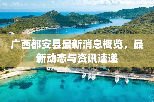 广西都安县最新消息概览，最新动态与资讯速递