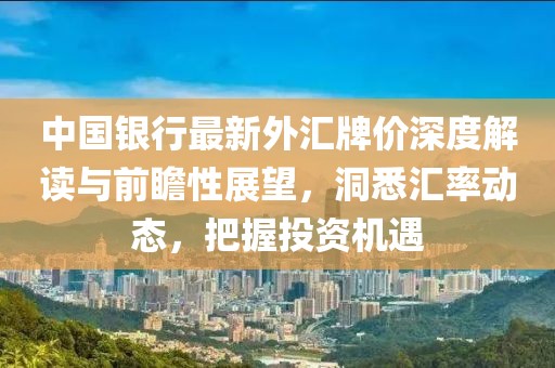 中国银行最新外汇牌价深度解读与前瞻性展望，洞悉汇率动态，把握投资机遇