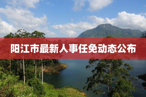 阳江市最新人事任免动态公布