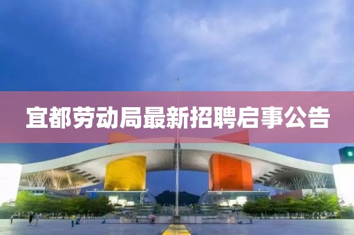 宜都劳动局最新招聘启事公告