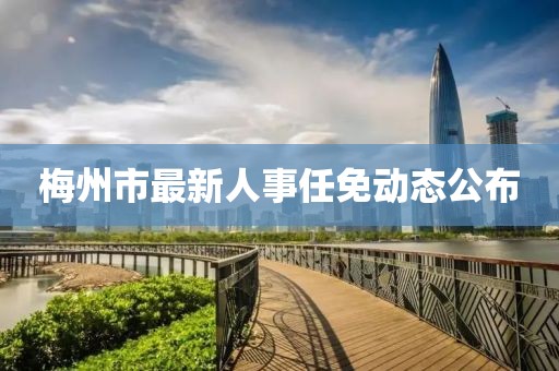 梅州市最新人事任免动态公布