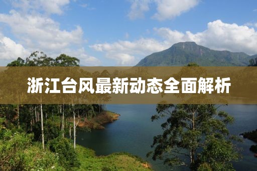 浙江台风最新动态全面解析