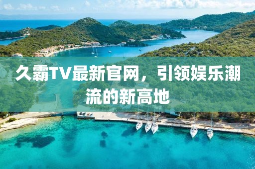 久霸TV最新官网，引领娱乐潮流的新高地