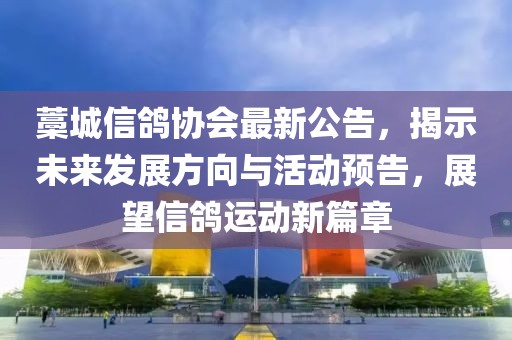 藁城信鸽协会最新公告，揭示未来发展方向与活动预告，展望信鸽运动新篇章