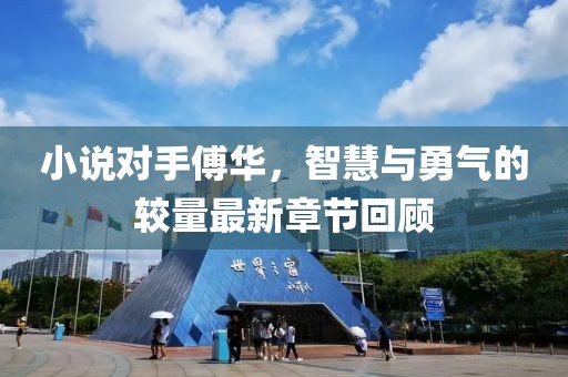 小说对手傅华，智慧与勇气的较量最新章节回顾