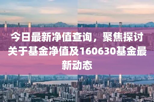 今日最新净值查询，聚焦探讨关于基金净值及160630基金最新动态