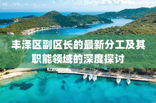 丰泽区副区长的最新分工及其职能领域的深度探讨