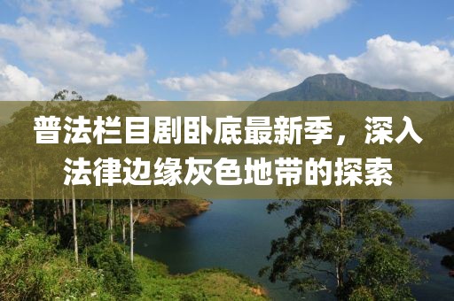 普法栏目剧卧底最新季，深入法律边缘灰色地带的探索