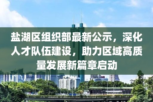 盐湖区组织部最新公示，深化人才队伍建设，助力区域高质量发展新篇章启动