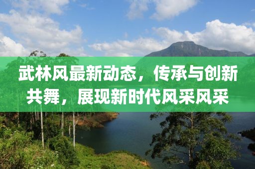 武林风最新动态，传承与创新共舞，展现新时代风采风采