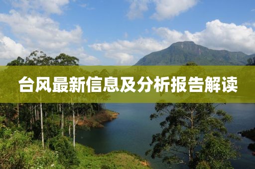 台风最新信息及分析报告解读