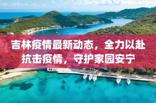 吉林疫情最新动态，全力以赴抗击疫情，守护家园安宁