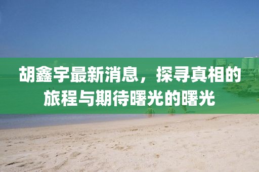 胡鑫宇最新消息，探寻真相的旅程与期待曙光的曙光