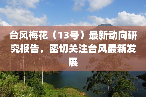 台风梅花（13号）最新动向研究报告，密切关注台风最新发展