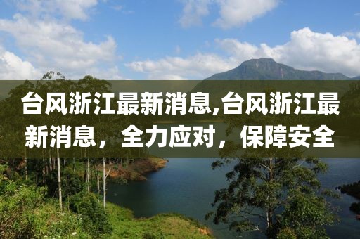 台风浙江最新消息,台风浙江最新消息，全力应对，保障安全