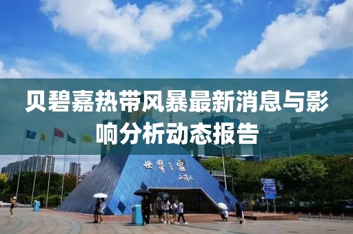 贝碧嘉热带风暴最新消息与影响分析动态报告