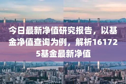 今日最新净值研究报告，以基金净值查询为例，解析161725基金最新净值