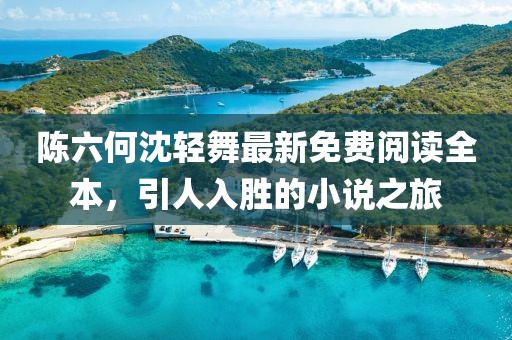 陈六何沈轻舞最新免费阅读全本，引人入胜的小说之旅