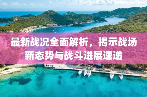 最新战况全面解析，揭示战场新态势与战斗进展速递