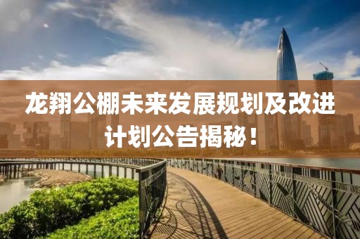 龙翔公棚未来发展规划及改进计划公告揭秘！