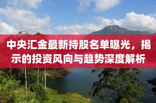 中央汇金最新持股名单曝光，揭示的投资风向与趋势深度解析