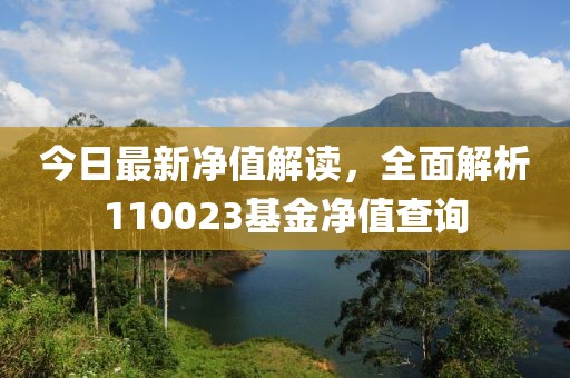 今日最新净值解读，全面解析110023基金净值查询