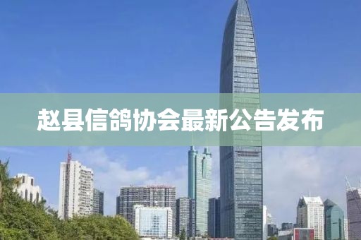 赵县信鸽协会最新公告发布