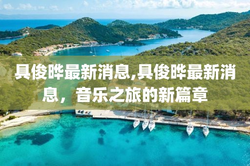 具俊晔最新消息,具俊晔最新消息，音乐之旅的新篇章