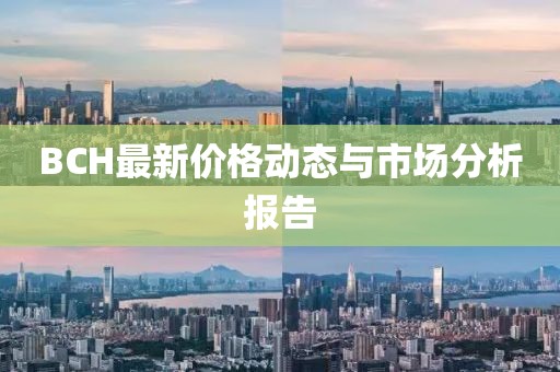 BCH最新价格动态与市场分析报告