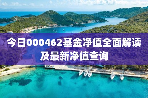 今日000462基金净值全面解读及最新净值查询