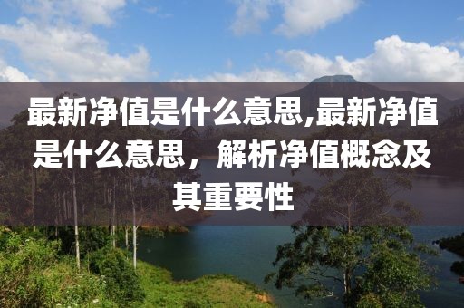 最新净值是什么意思,最新净值是什么意思，解析净值概念及其重要性