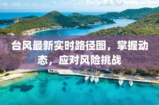 台风最新实时路径图，掌握动态，应对风险挑战